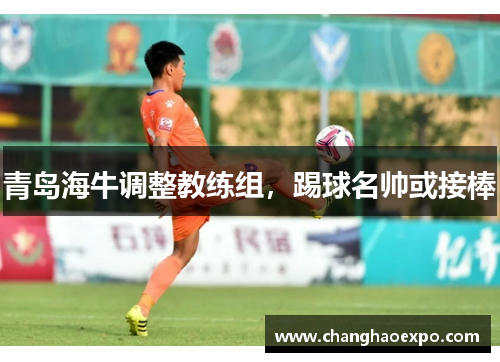 青岛海牛调整教练组，踢球名帅或接棒